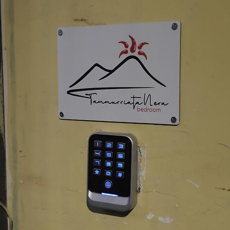 Tammurriata Nera Bedroom Napoli Eksteriør billede